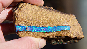 Hand holding tube-shaped boulder opal