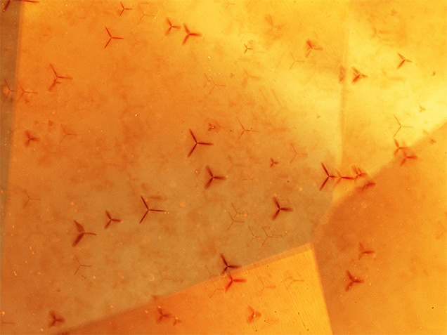 Windmill-like inclusions seen in sphalerite.