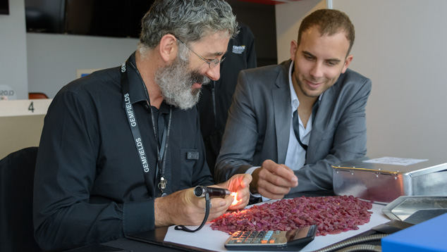 GIA team examining rough ruby parcels