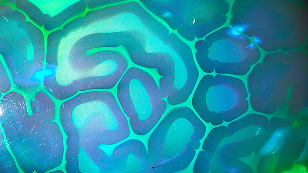 Figure 2. The turtle shell–like pattern of the natural opal as seen in oblique reflected light. Photomicrograph by Ungkhana Atikarnsakul; field of view 14.4 mm.
