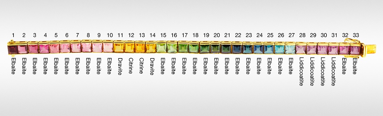Bracelet examined for identification and species classification.