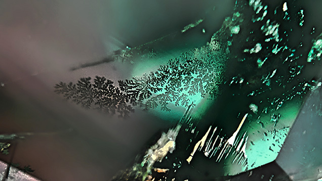 These dendritic patterns in a partially filled fissure in an emerald resemble natural foliage, also known as jardin. Photomicrograph by Sameer Din Faqir; field of view 2.50 mm.