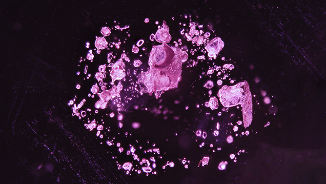 Cluster of crystals in Mozambican rubies