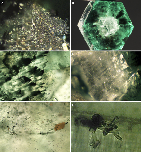 Arms and inclusions in Swat trapiche-type emerald
