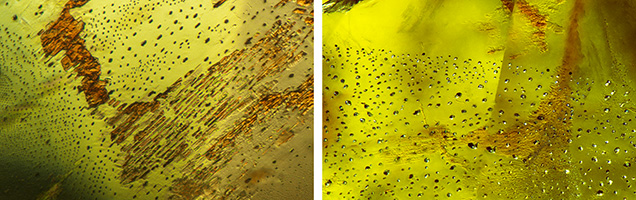 Figure 2. Left: Planar, brownish red thin films are a distinctive inclusion in pallasitic peridot; field of view 1.26 mm. Right: Coarse fingerprints are a common inclusion in both terrestrial and extraterrestrial peridot; field of view 1.99 mm. Photomicrographs by Britni LeCroy.