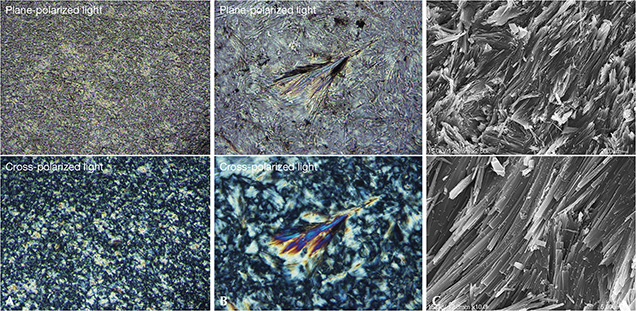 Polarized optical and SEM images of black nephrite from Guangxi
