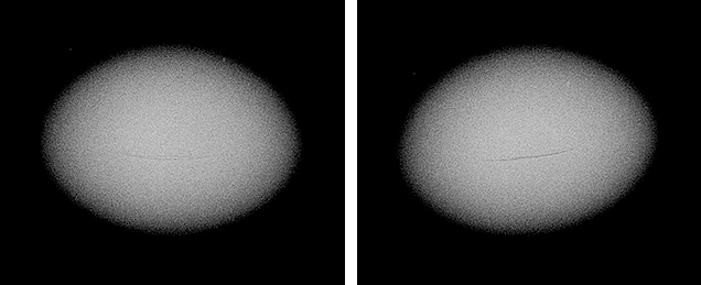 RTX images of a seed pearl