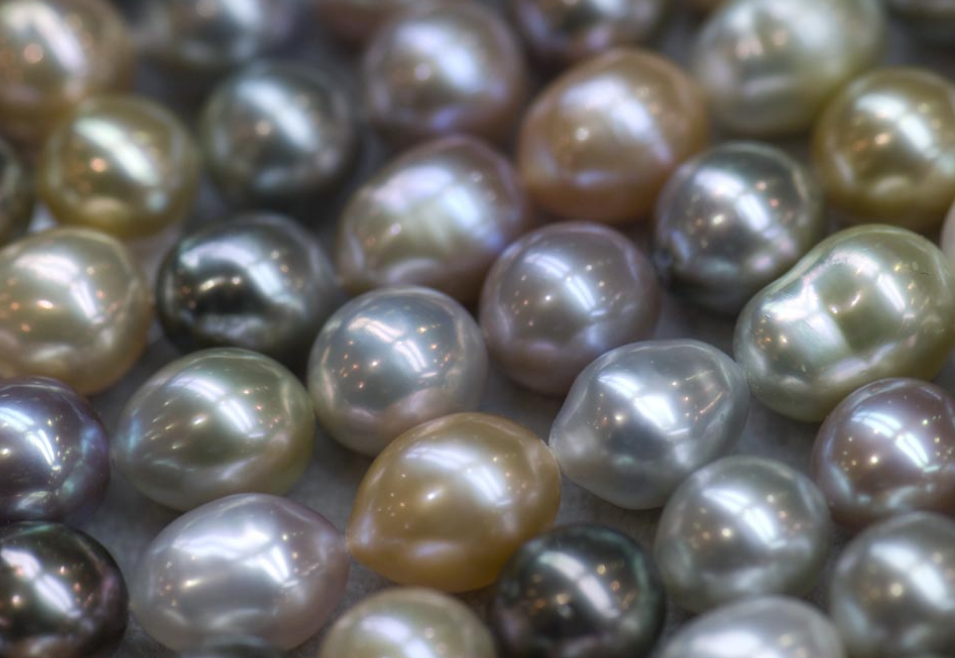 不同的珍珠类别