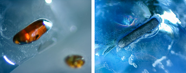 Prismatic and rounded rutile crystals in alluvial Montana sapphire