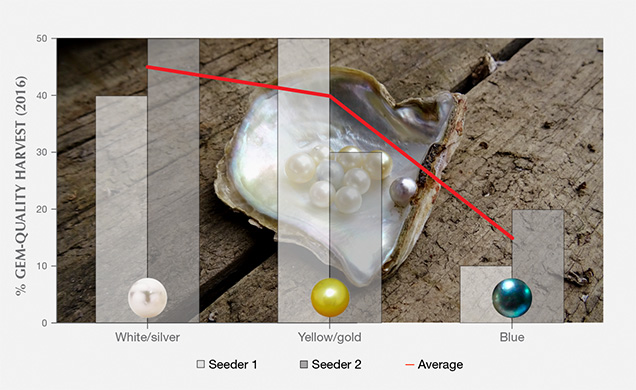 Proportions of bodycolors produced at from Broken Bay Pearls
