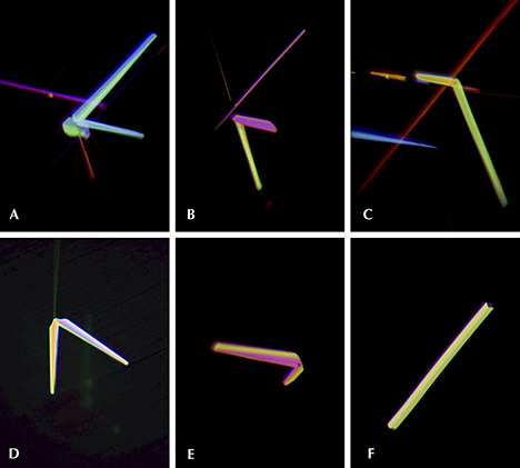 Rutile needles in the purplish pink sapphire from Myanmar, with varying thickness and shapes