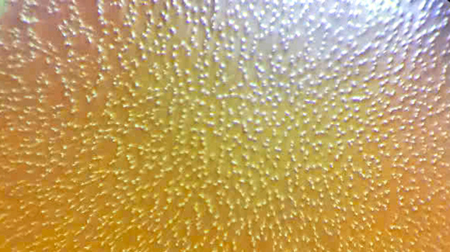 “Goose bumps” on the surface of a 12 mm golden South Sea pearl. Photomicrograph by Le Ngoc Nang; field of view 5 mm.
