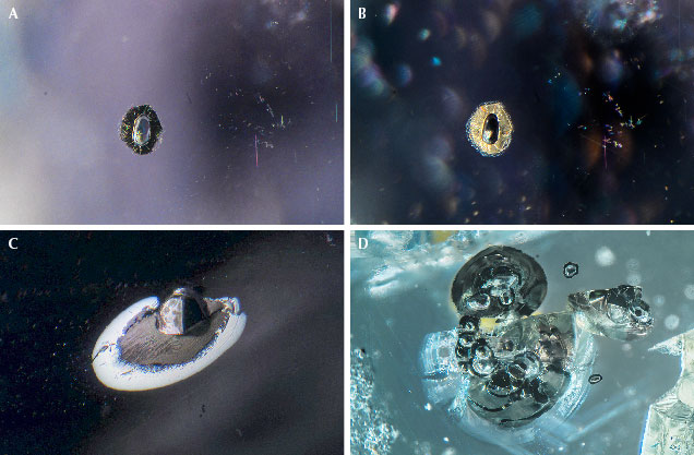 Four microscopic images showing various mineral structures, each with distinct shapes and textures.