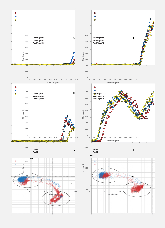 X-ray fluorescence reactions of two pearls