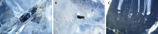 Columbite inclusions in sapphire from southern Vietnam