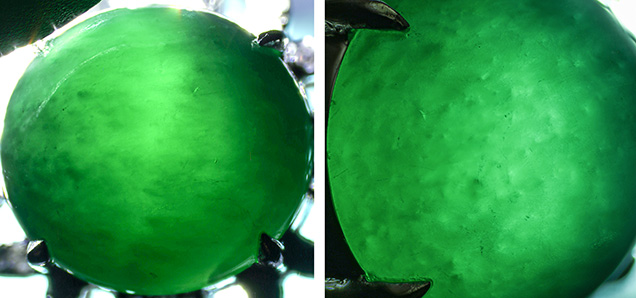 A fibrous texture (left) and vague honeycomb-like pattern (right) were observed under fiber-optic illumination.