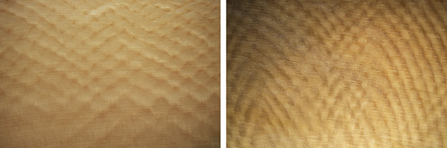 Schreger lines observed in elephant ivory (left) and mammoth ivory (right).