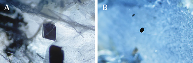 Inclusions of hercynite spinel and ilmenite in sapphires from southern Vietnam