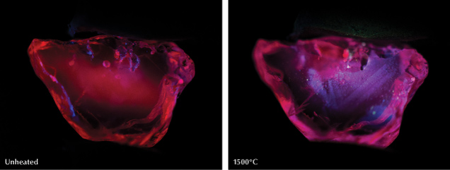 Figure 12. Left: A ruby sample tested by Hughes and Vertriest (2022) showed a strong red fluorescence in short-wave UV before heat treatment. Its appearance remained unchanged after heating to 600°, 750°, 900°, and 1100°C. Right: Zoned chalky fluorescence appeared following heating to 1500°C. From Hughes and Vertriest (2022).
