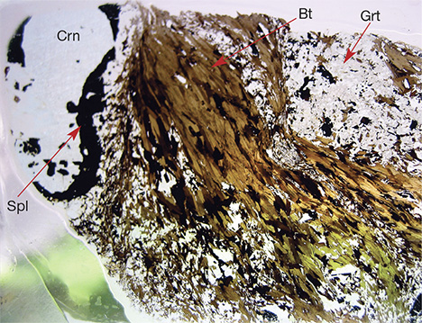 Assemblage from the Kinh La occurrence