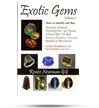 Exotic gems (Volume 2)