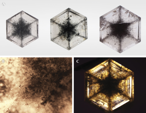 Figure 1. A: Three near-colorless transparent grossular garnet tablets with black inclusions arranged in snowflake-like patterns: 0.46, 0.68, and 1.00 ct, respectively. B: Black and colorless inclusions in the 0.46 ct sample; field of view 1.10 mm. C: Concentric hexagonal light and dark growth pattern of the 1.00 ct stone in cross-polarized light. Photos by Shunsuke Nagai (A) and Taku Okada (B and C).