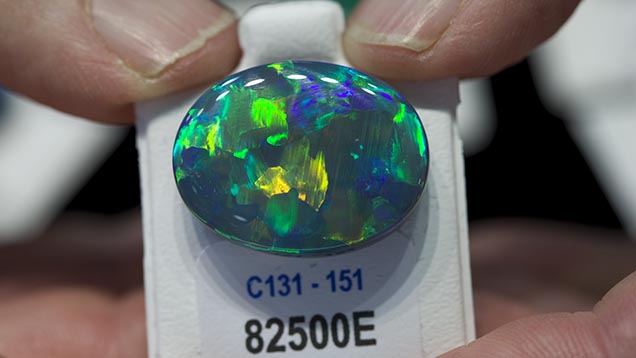 24 Carat Black Opal. At 24 carats, this high-quality black opal will make an impressive centerpiece for a jewelry design. Courtesy Cody Opal