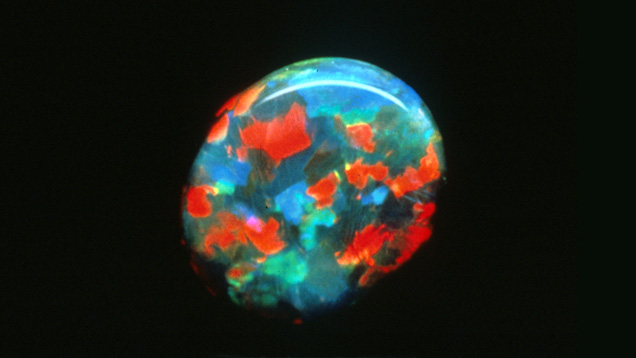 Black Opal with a Harlequin Pattern. The harlequin pattern in this black opal has a lot of red, blue, and green play-of-color. Photo: Rudy Weber. Courtesy Cody Opal