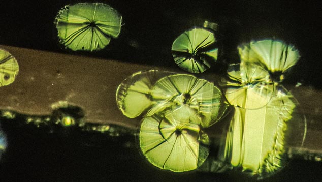Lily Pads. These disk-like fracture inclusions in peridot are descriptively called lily pads.
