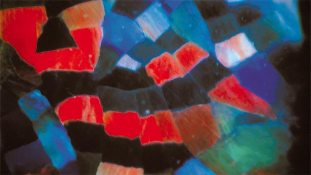 Harlequin Pattern. In a close-up view, you can see the details of a black opal’s near-perfect harlequin pattern. Courtesy Cody Opal