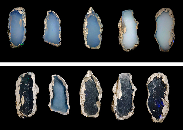 Opal slices before and after water immersion. Figure 1. Top: These five opal slices of comparable thickness were cut from the same rough. They were semitransparent to translucent when viewed in daylight on a black background. Play-of-color was displayed with oblique lighting at certain angles. Bottom: The slices’ transparency improved after immersion in distilled water for approximately 20–30 minutes. Each slice absorbed water differently depending on its porosity. Photos by Nuttapol Kitdee.