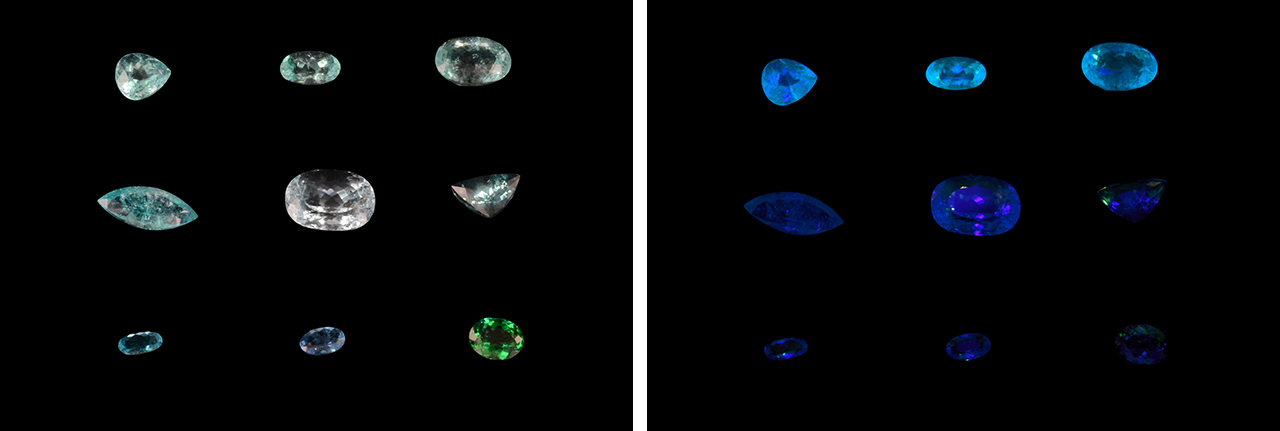 SP17-Katsurada-fig4-Comp_212260-1280x431.jpg. Cuprian liddicoatites under daylight-equivalent and long-wave UV light
